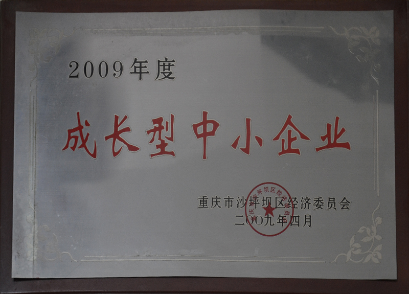 資質(zhì)榮譽